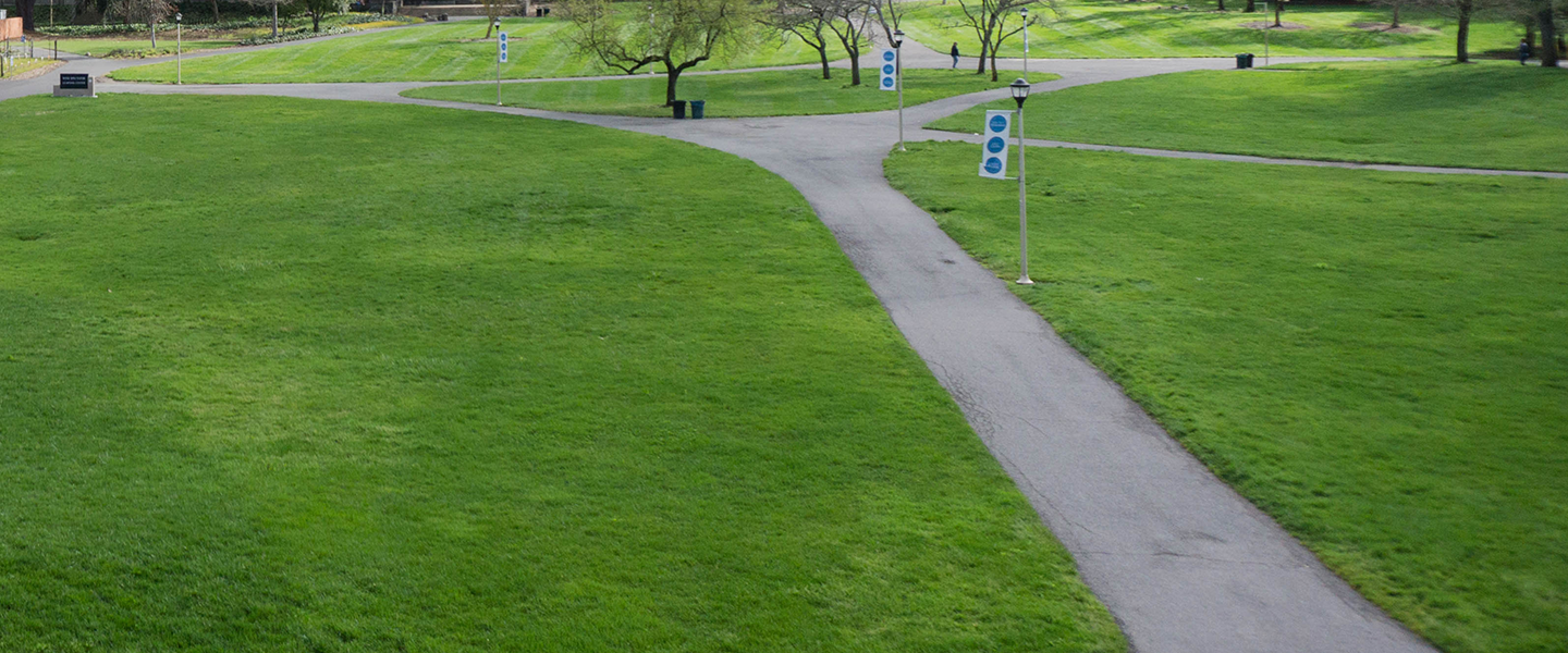 sidewalks criss cross with green grass